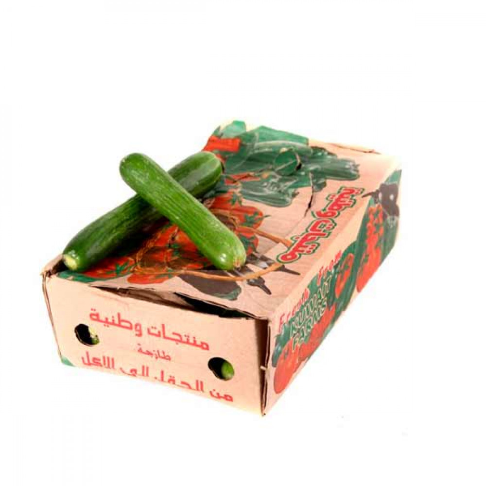 Cucumber - Kuwait - Box  Cucumber - Kuwait - Box