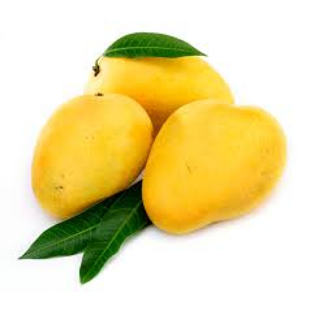 MANGO MABRUKA EGYPT MANGO MABRUKA EGYPT