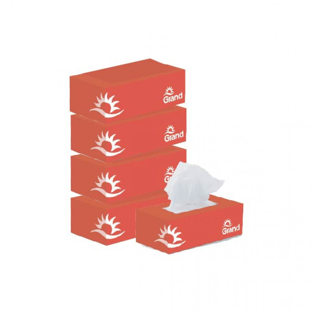 Grand 2 Ply Facial Tissues 6 x 150s  Grand 2 Ply Facial Tissues 6 x 150s
