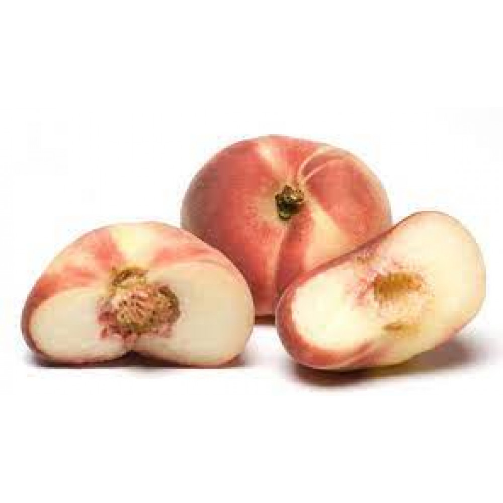 FLAT DONUT PEACH FLAT DONUT PEACH