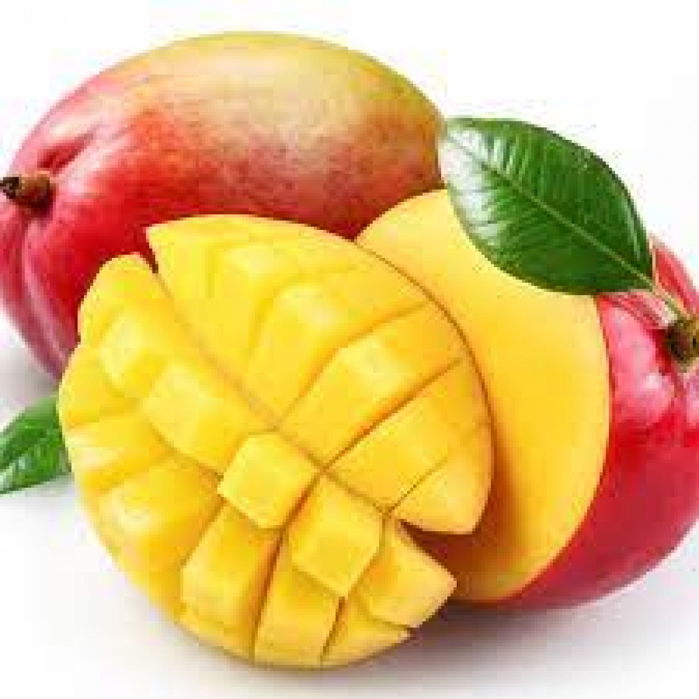 MANGO NAOMI EGYPT MANGO NAOMI EGYPT