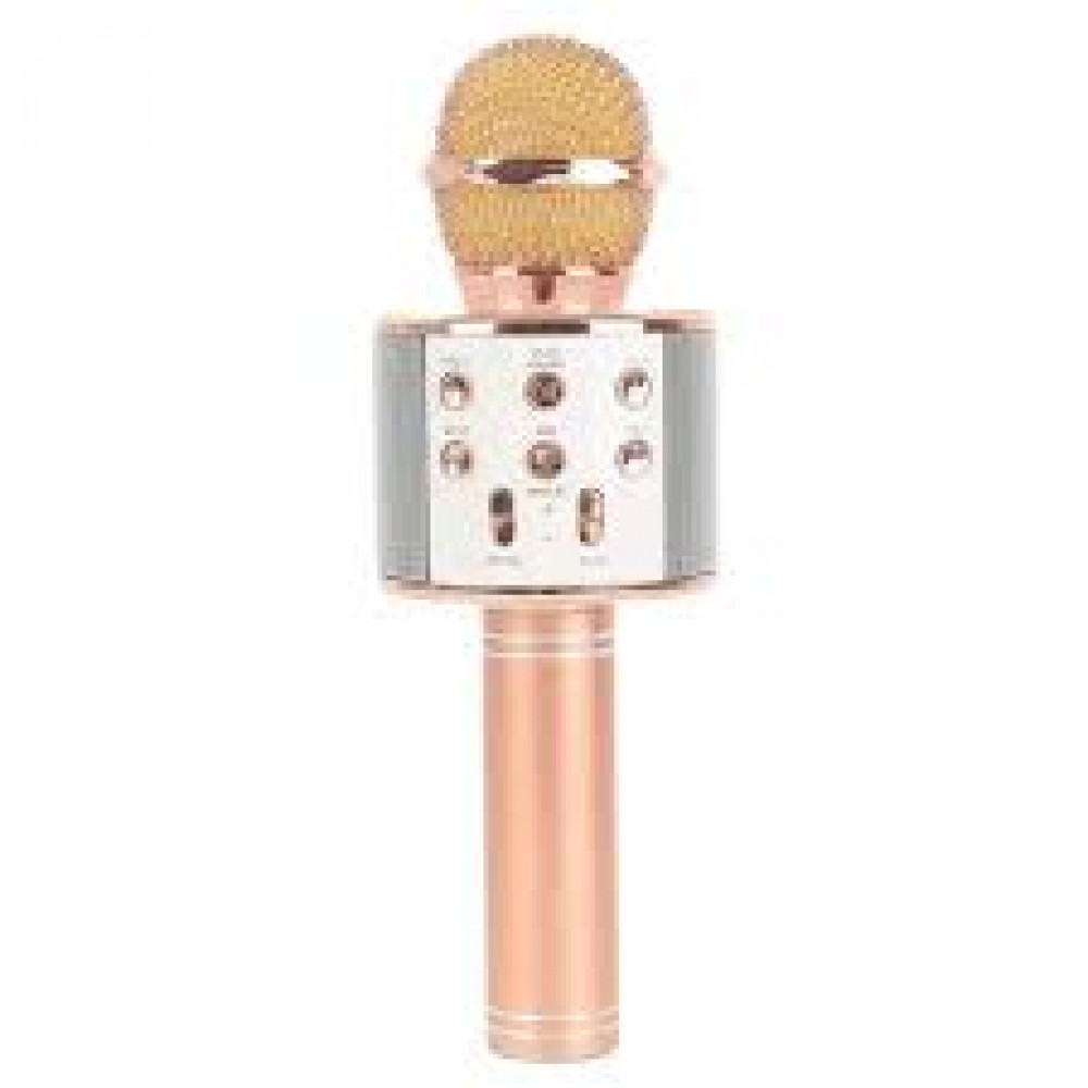 WSTER MIC WITH SPEAKER WS-858