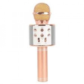 WSTER MIC WITH SPEAKER WS-858