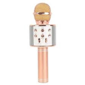WSTER MIC WITH SPEAKER WS-858
