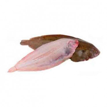 Fresh Sole Fish - 1Kg (Approx) 