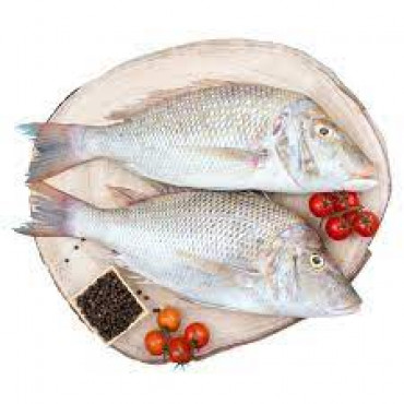 SHERI FISH BIG 1 KGS