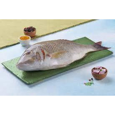 SHERI FISH SMALL 1 KGS