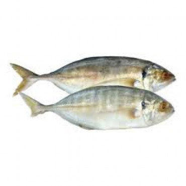 ADAV FISH 1 KGS