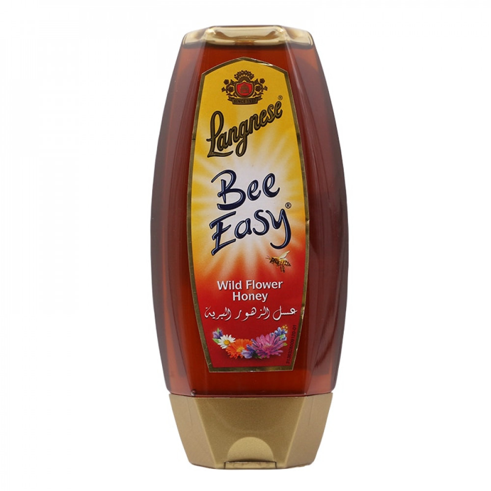 Langnese Bee Easy Wild Flower Honey 500gm 
