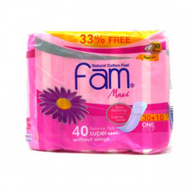 Sanita Fam Maxi Wings 4X10S