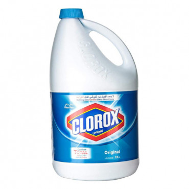 Clorox Bleach Regular 1Gal 