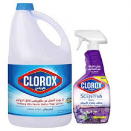 Clorox Bleach+Lavender Spray 1Gal+500Ml