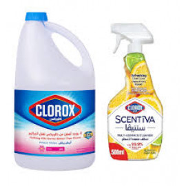 Clorox Bleach+Citrus Spray 1Gal+500Ml