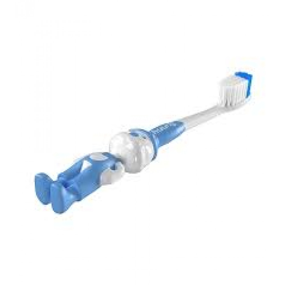 Sunny Tooth Brush Tb-107 (10 Pcs Jar  Set) 889050 Sunny Tooth Brush Tb-107 (10 Pcs Jar  Set) 889050