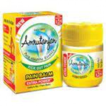 Amrutanjan Pain Balm 9.2Gm