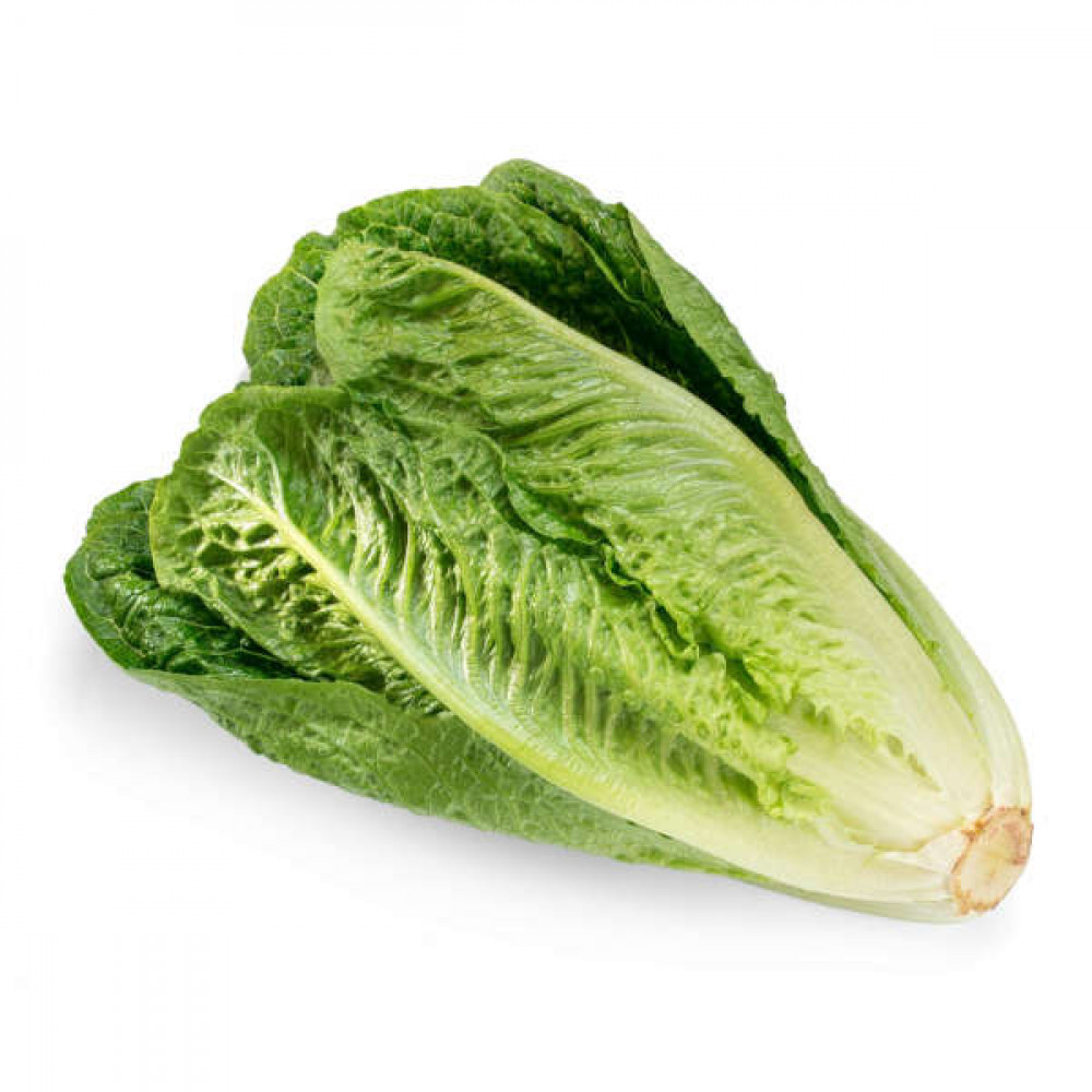 Lettuce Romaine - Kuwait- 500gm Lettuce Romaine - Kuwait- 500gm