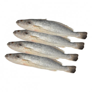 Fresh Nuwaibi Fish - Kuwait - 1Kg (Approx) 